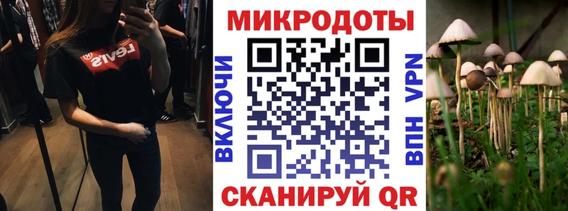 Купить Данилов Псилоцибиновые грибы GOLDEN TEACHER
